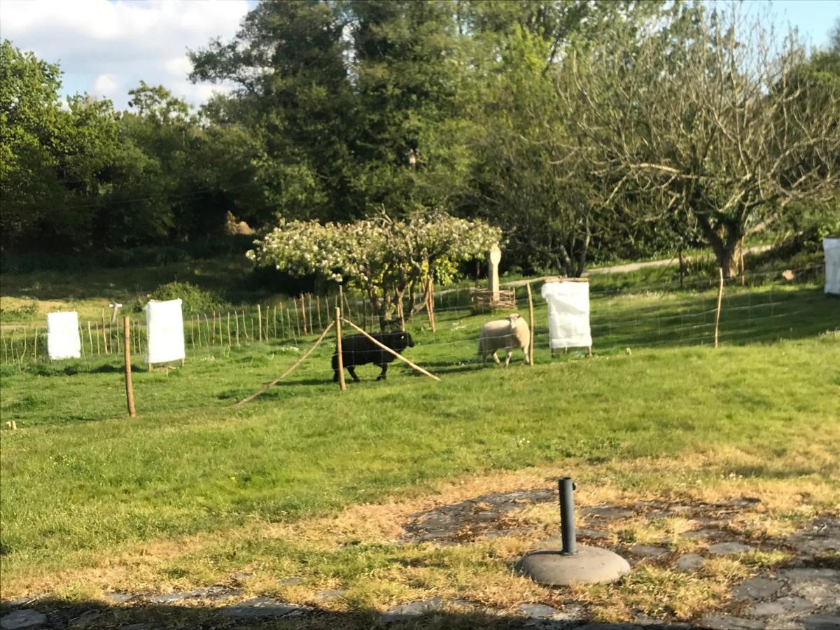 Gite de Kerfenefas Plouézocʼh Exterior foto